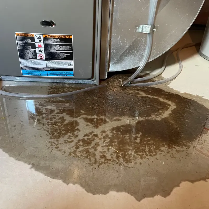 Appliance Leak Cleanup in Hitchcock County, NE